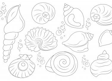 disegni da ricamare punto catenella a tema mare, disegni da ricamare punto catenella, soggetti marini da ricamare