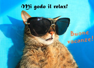 immagini vacanze estive divertenti, immagini vacanze estive