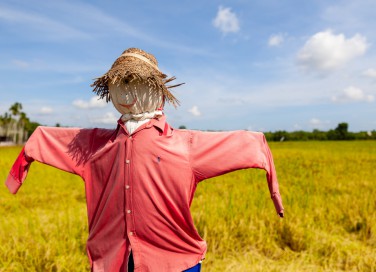 spaventapasseri fai da te, come fare spaventapasseri, spaventapasseri materiali riciclati 