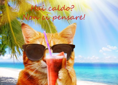 immagini divertenti caldo estivo, immagini caldo estivo, immagini divertenti caldo, immagini divertenti estate 