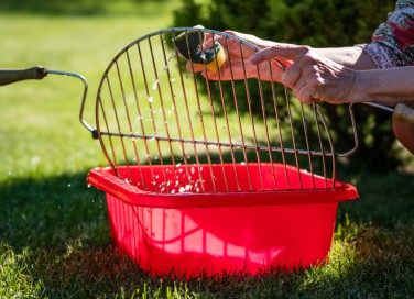 griglie barbecue incrostate, come pulire griglie barbecue, come pulire barbecue