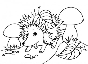disegni autunno da colorare, disegni autunnali da colorare, disegni autunno