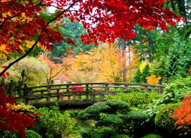 sfondi autunno desktop, sfondi autunno desktop gratis, immagini autunno
