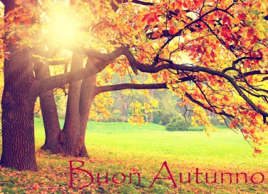 buon autunno immagini, benvenuto autunno immagini, autunno immagini