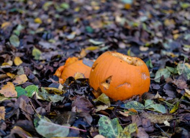 come riciclare zucca halloween, riciclo zucca, riciclare zucca