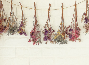 sognare fiori secchi, significato, interpretazione