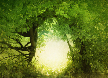 lascia che tutto ti accada bellezza e terrore, poesia rilke 