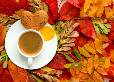 cosa fare domenica pomeriggio autunno, cosa fare domenica pomeriggio