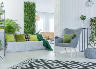 arredare, interno, piante