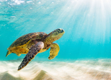 sfondi desktop mare gratis, sfondi desktop mare, immagini mare