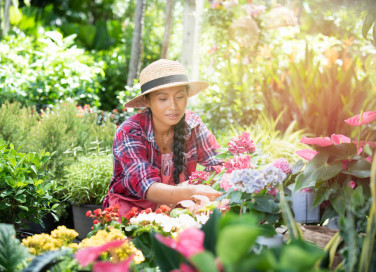giardinaggio mal di schiena, giardinaggio dolore schiena