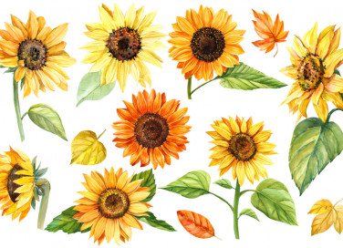 girasoli decoupage da stampare gratis, girasoli da stampare