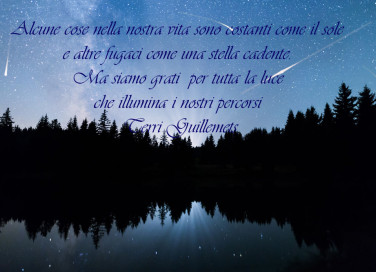 immagini stelle cadenti con frasi, immagini stelle cadenti, stelle cadenti frasi