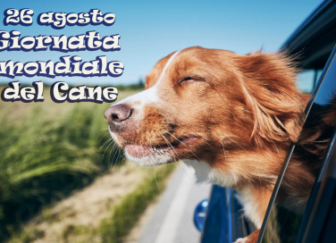 giornata mondiale cane immagini, giornata mondiale cane, giornata cane