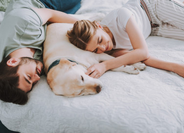 Quanto dormono i cani