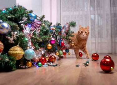 Albero di Natale 2021 gatto