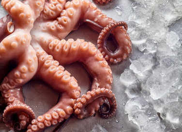 polpo congelato, come cucinarlo, metodi