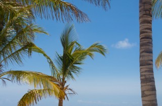 Racconti di viaggio: Watamu, spiaggia da sogno in Kenya