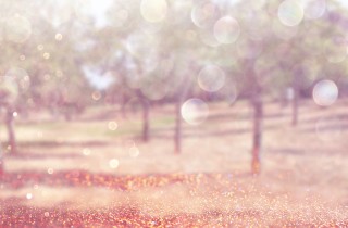 Illumina le tue foto con i brillantini