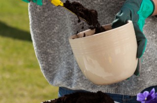 Il rinvaso di primavera