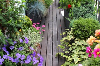L’orto sul balcone