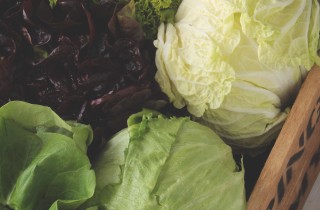 Coltivare la lattuga: le regole d'oro      