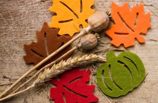 Foglie fantasia d'autunno