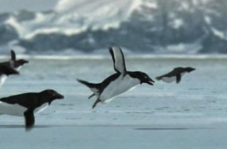 Pesce d'aprile: i 5 scherzi più famosi