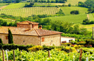 Weekend in Toscana, cosa vedere e cosa mangiare