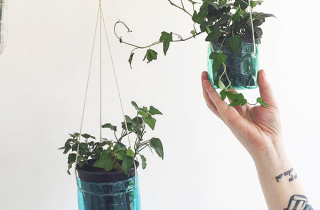 Costruire un giardino verticale in casa utilizzando le bottiglie di plastica