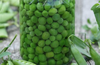 Conserva di piselli al naturale