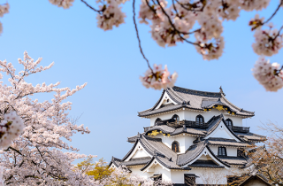 10 cose sulla cultura giapponese che ti incuriosiranno