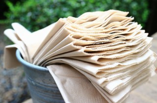 Giardinaggio d'inverno: come difendere la salute delle piante dal freddo