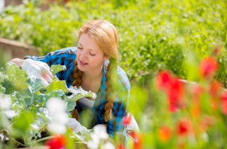 Cosa coltivare ad aprile per avviare l'orto di primavera