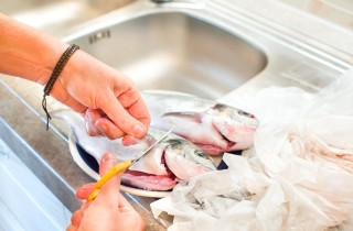 Come pulire il pesce appena pescato in modo efficace e veloce