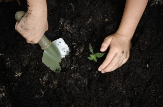 Come fare giardinaggio con i bambini