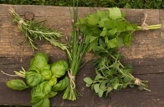 Come conservare le erbe aromatiche a lungo