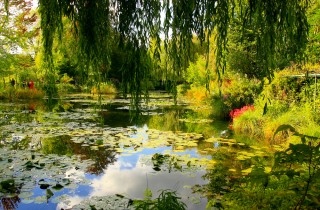 I 5 orti botanici più belli d'Europa