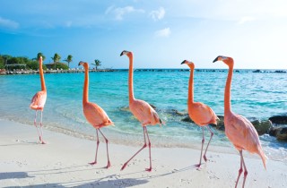 I 5 hotel più costosi del mondo