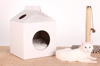 Come costruire una cuccia per gatti in cartone fai da te