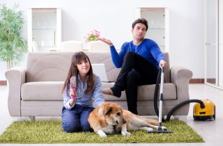 Come capire se ho le pulci in casa e come risolvere il problema