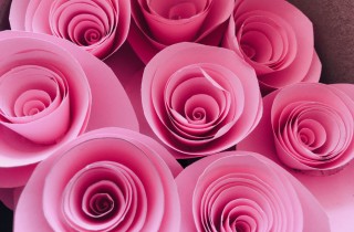 Rose di carta a spirale fai da te