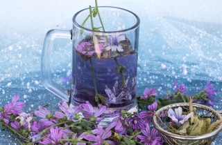 Tisana alla malva per mal di stomaco: il rimedio naturale che dà sollievo