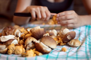 Funghi, quali sono i benefici per la salute?