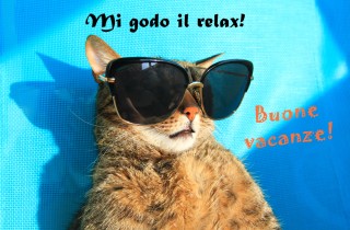 Immagini vacanze estive divertenti: le più belle da non perdere