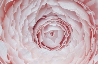 Decorazioni floreali matrimonio: 2 fiori grandi di carta fai da te