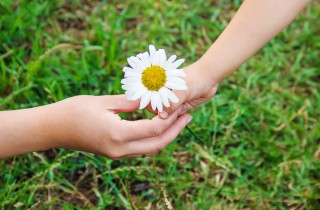 Giornata della gentilezza: le frasi più belle e significative