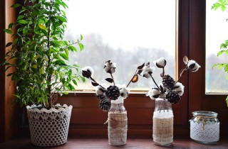 Come conservare le piante in inverno per proteggerle dal freddo