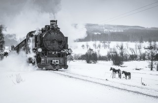 Il video musicale del mese: Natale a Pavana di Francesco Guccini, testo e traduzione