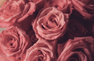 Olio essenziale di rosa: come farlo per profumare casa